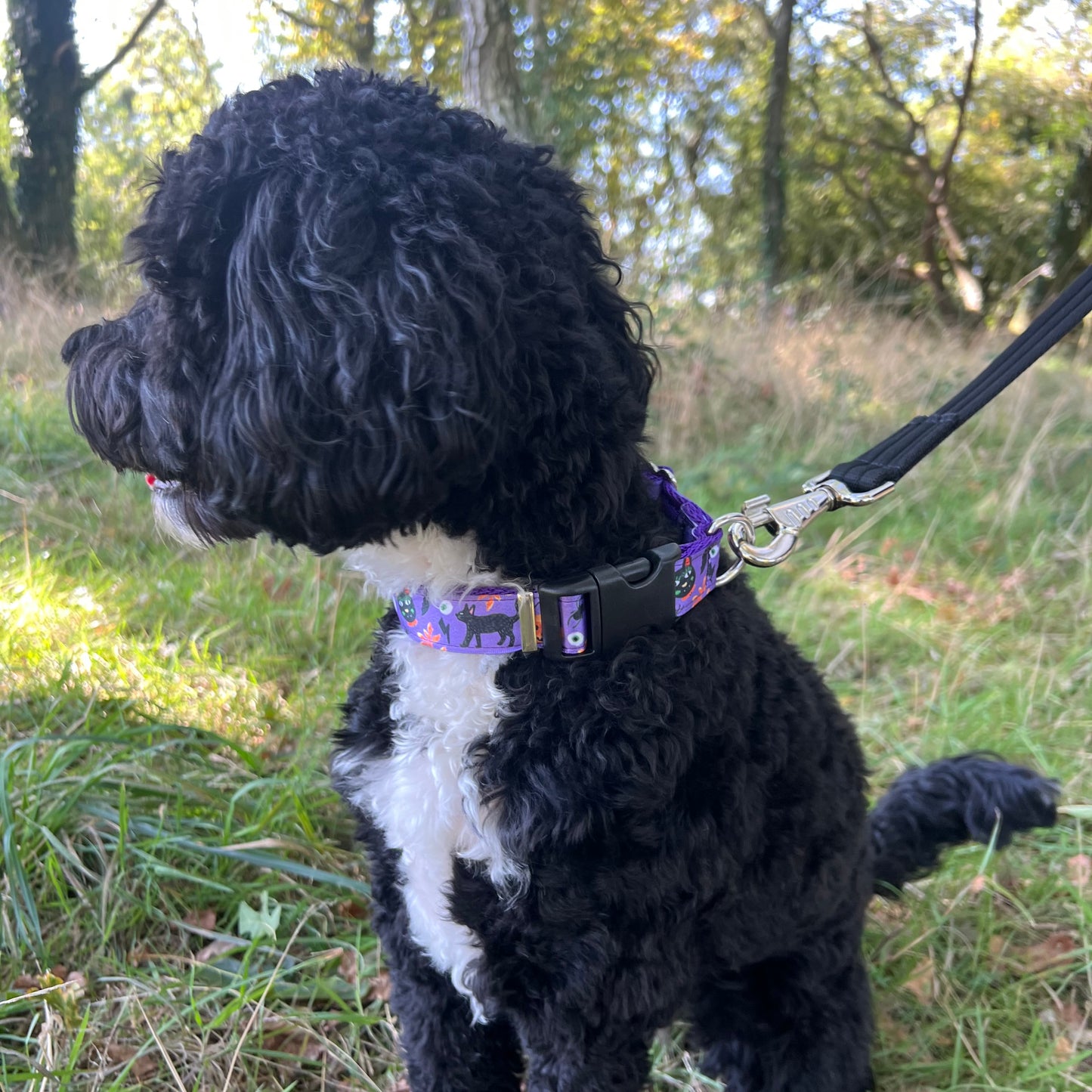 Halloween Dog Collars Adjustable 25mm Wide In Various Designs Small Medium Large