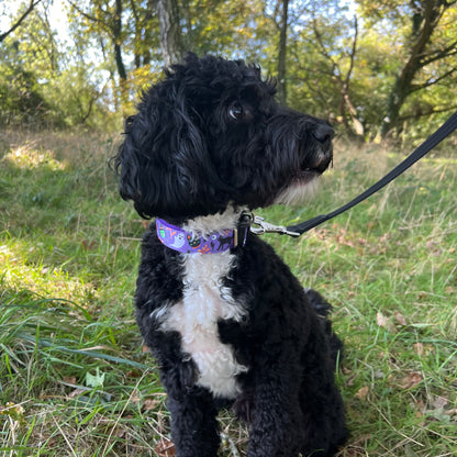 Halloween Dog Collars Adjustable 25mm Wide In Various Designs Small Medium Large