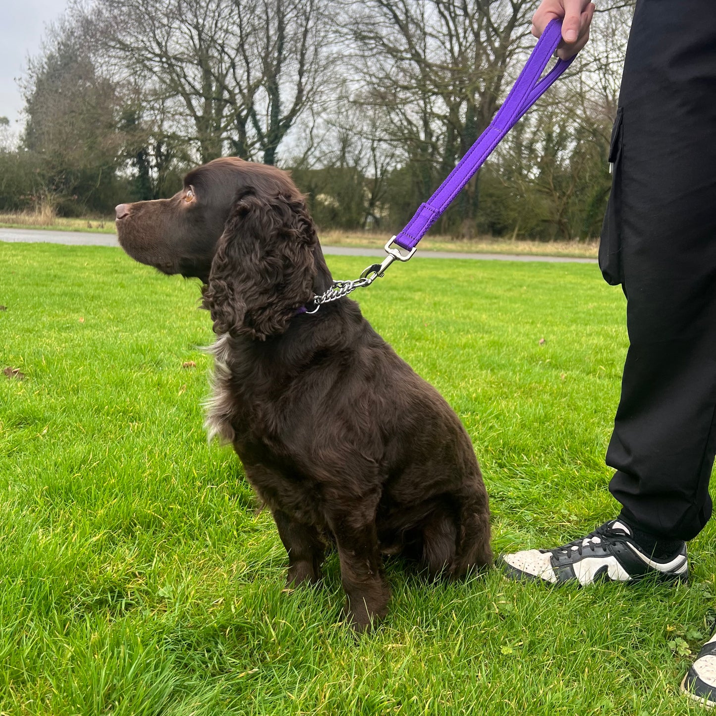 18" Short Close Control Dog Training Lead Leash 25mm Cushion Webbing In 19 Colours