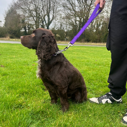 18" Short Close Control Dog Training Lead Leash 25mm Cushion Webbing In 19 Colours