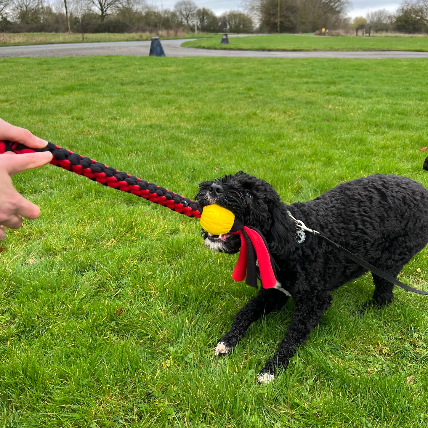 Dog Tug Toy With Ball Handmade Strong Fleece Tug Toys For Small Medium Large Dogs
