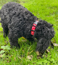 Load image into Gallery viewer, Christmas Dog Collars Adjustable 25mm Wide In Various Designs Small Medium Large