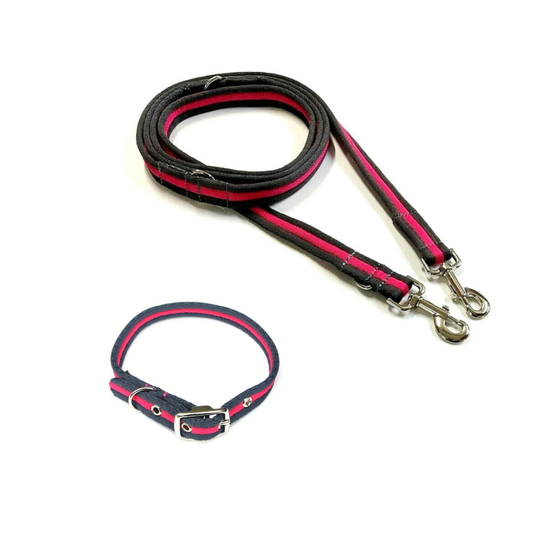 Dog Collar And Police Style Dog Lead Set 20mm Air Webbing Small Collar In Various Lengths And Matching Colours