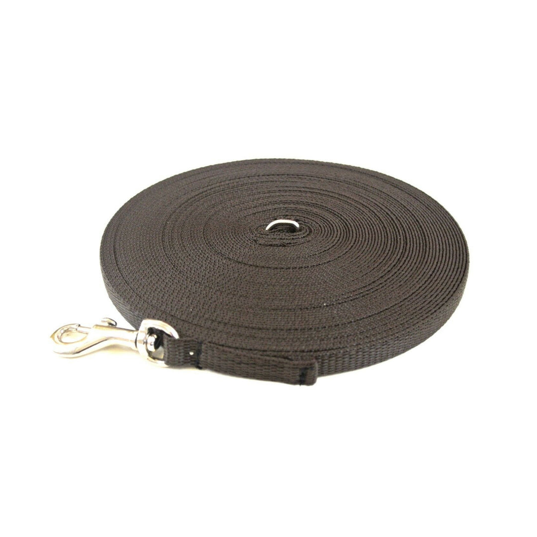 Puppy Dog Training Leads In 19 Colours 13mm Webbing 5ft - 25ft Long Leash