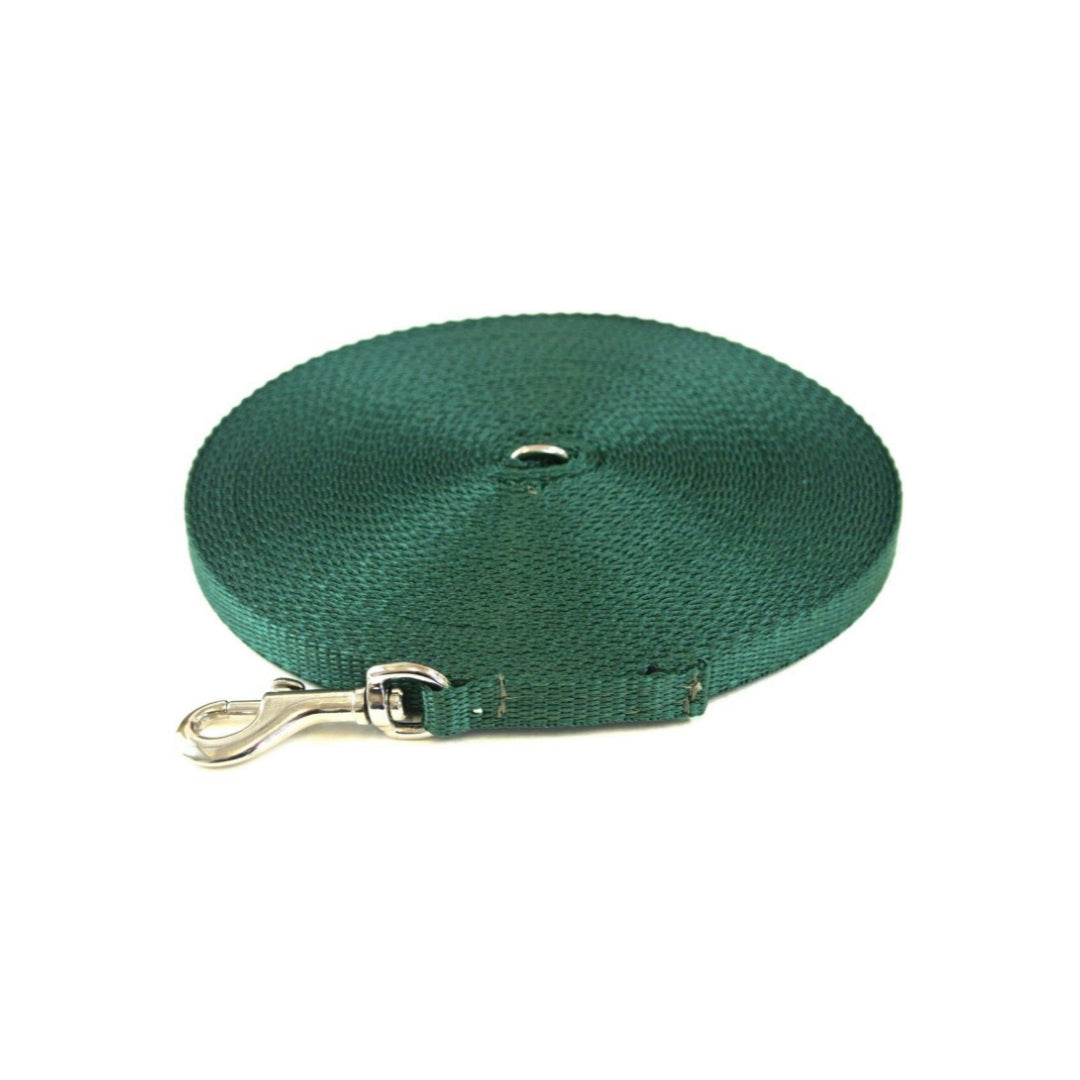 Puppy Dog Training Leads In 19 Colours 13mm Webbing 5ft - 25ft Long Leash