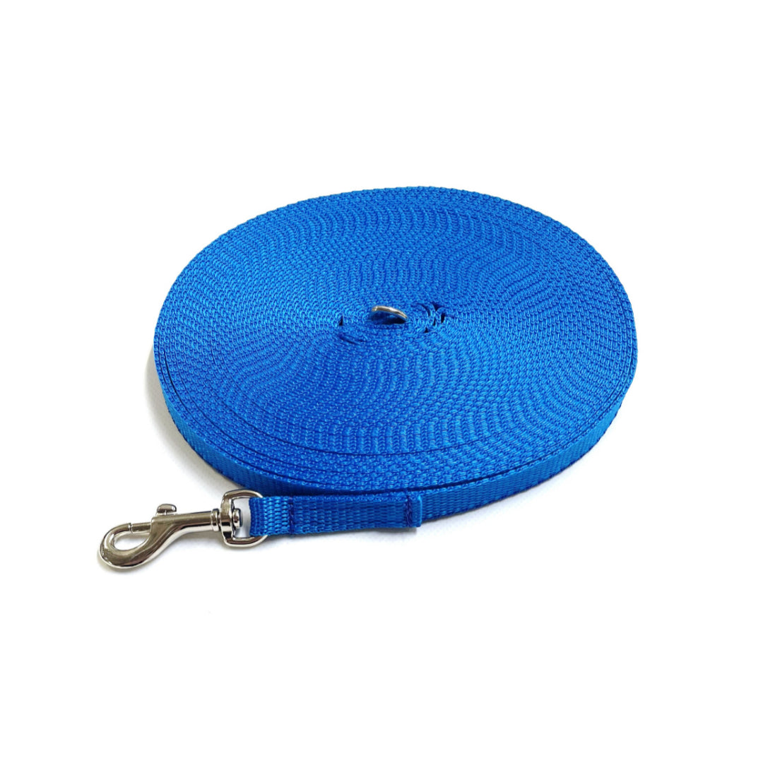 Puppy Dog Training Leads In 19 Colours 13mm Webbing 5ft - 25ft Long Leash