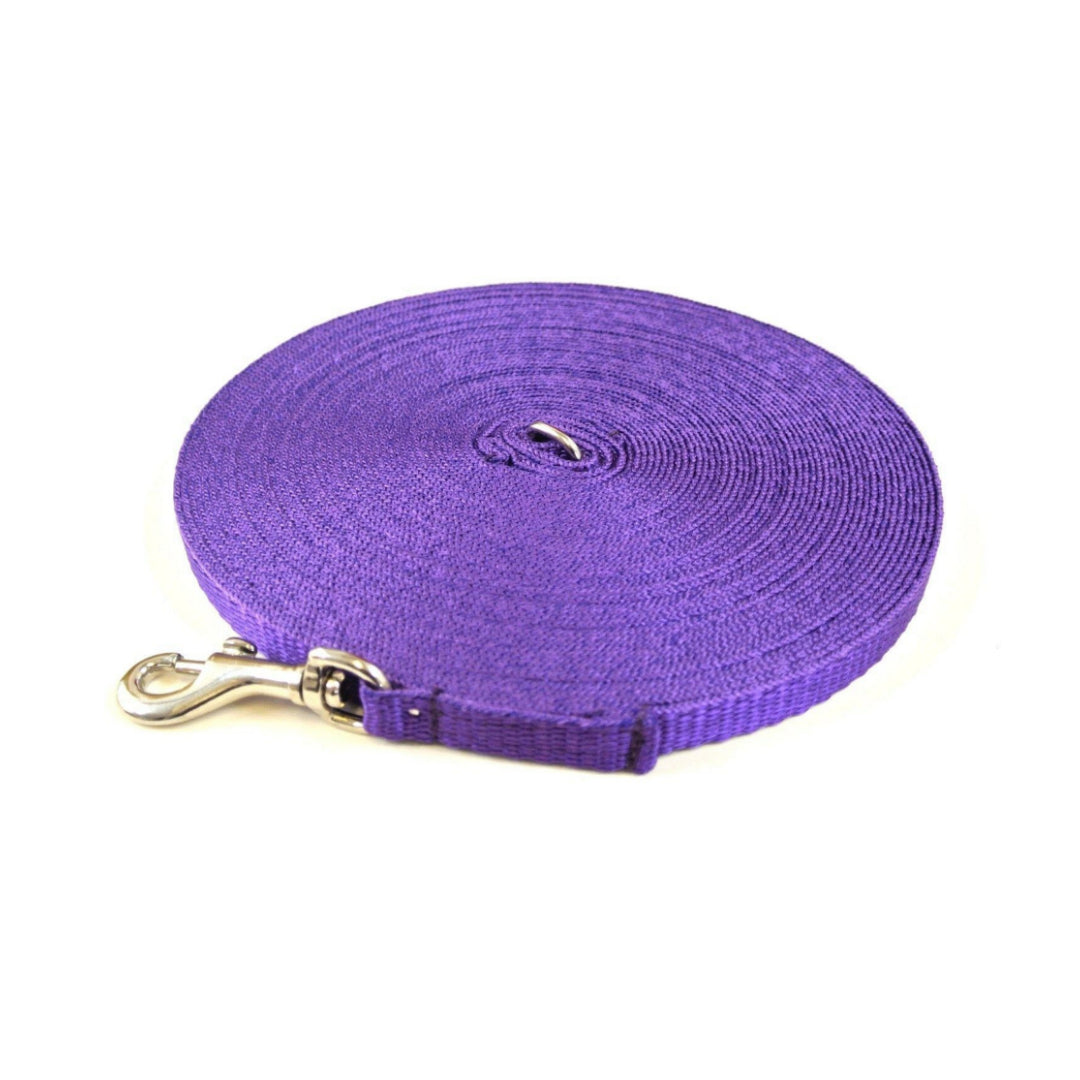 Puppy Dog Training Leads In 19 Colours 13mm Webbing 5ft - 25ft Long Leash