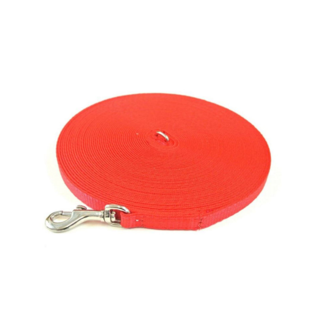 Puppy Dog Training Leads In 19 Colours 13mm Webbing 5ft - 25ft Long Leash