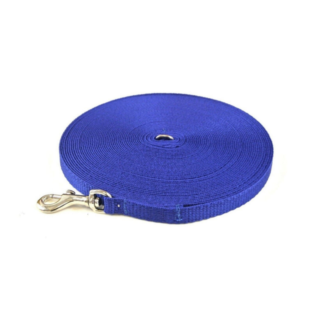 Puppy Dog Training Leads In 19 Colours 13mm Webbing 5ft - 25ft Long Leash