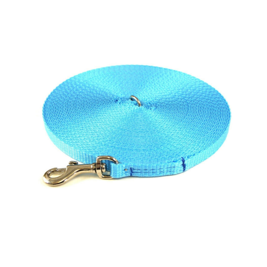 Puppy Dog Training Leads In 19 Colours 13mm Webbing 5ft - 25ft Long Leash