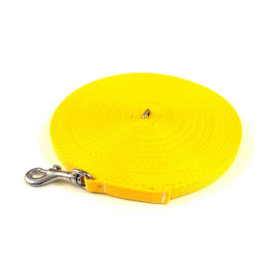 Puppy Dog Training Leads In 19 Colours 13mm Webbing 5ft - 25ft Long Leash