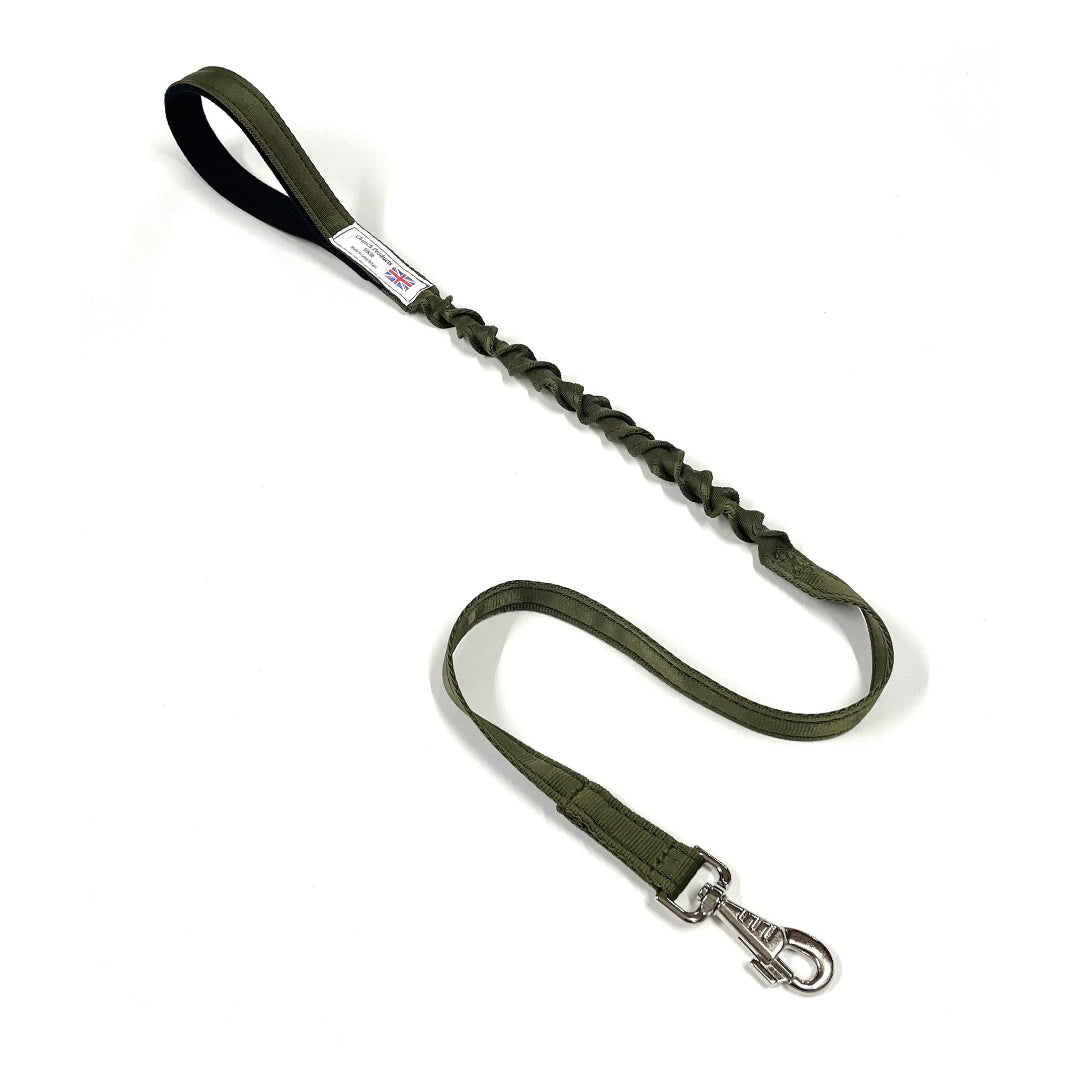 Shock Absorbing Bungee Dog Lead Training Walking Leash With Soft Padded Handle