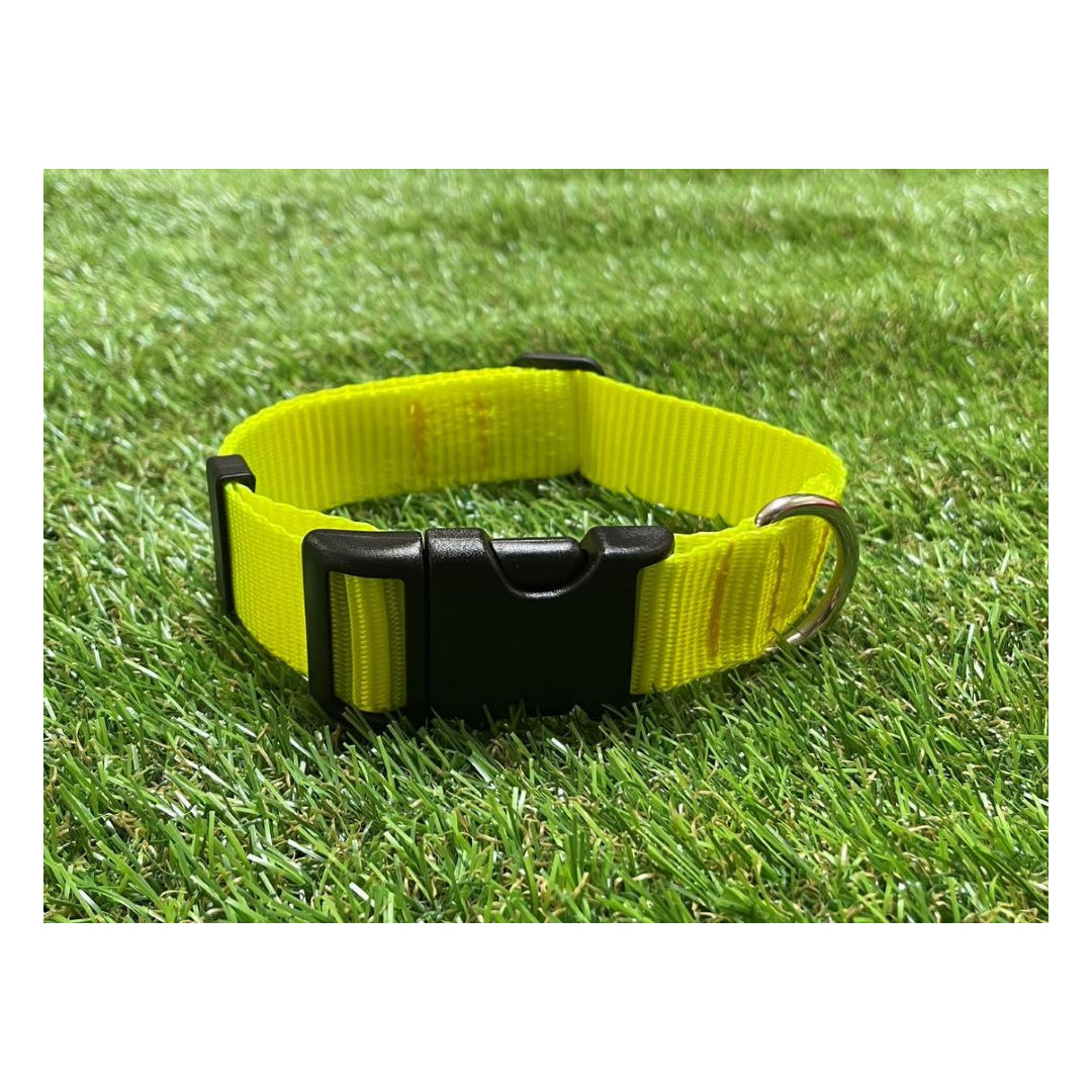 Dog Collar In 25mm Fluorescent Yellow Webbing Adjustable In Various Sizes