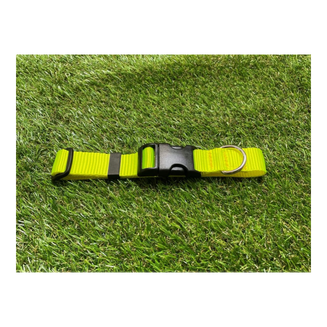 Dog Collar In 25mm Fluorescent Yellow Webbing Adjustable In Various Sizes