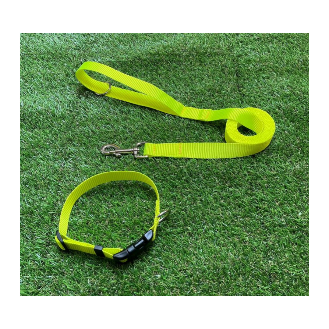 Dog Collar In 25mm Fluorescent Yellow Webbing Adjustable In Various Sizes