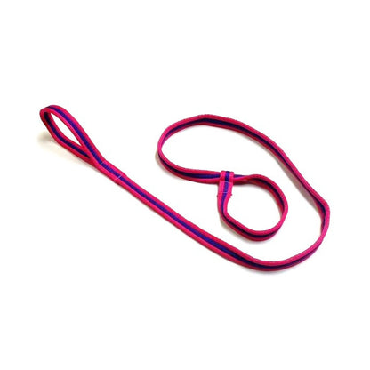 Safe Rescue 76" Dog Slip Lead With Handle 25mm Air Webbing