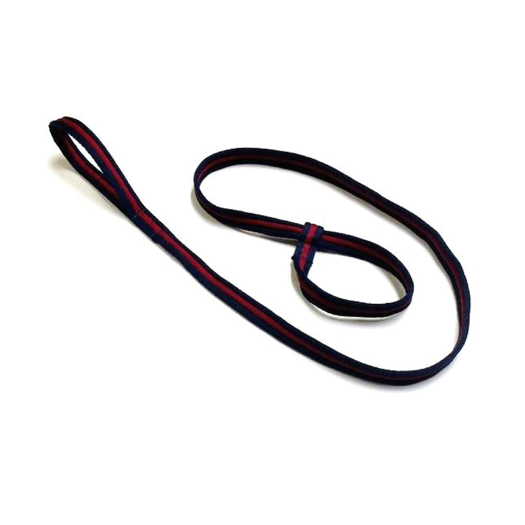 Safe Rescue 76" Dog Slip Lead With Handle 25mm Air Webbing