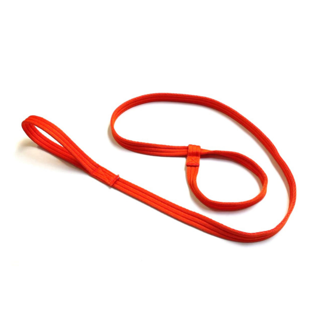 Safe Rescue 76" Dog Slip Lead With Handle 25mm Air Webbing