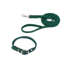 Load image into Gallery viewer, Dog Collar And Lead Set 25mm Air Webbing Small Collar In Various Lengths And Matching Colours