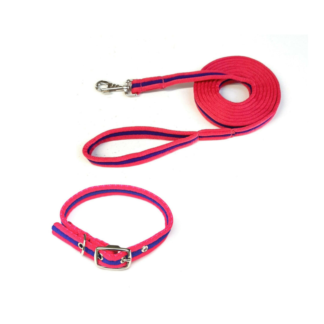 Dog Collar And Lead Set 25mm Air Webbing Medium Collar In Various Lengths And Matching Colours