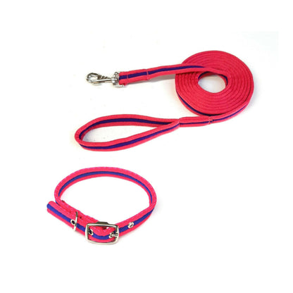 Dog Collar And Lead Set 25mm Air Webbing Medium Collar In Various Lengths And Matching Colours