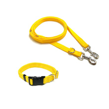 Load image into Gallery viewer, Dog Collar And Police Style Dog Lead Set 20mm Cushion Webbing Small Collar In Various Lengths And Matching Colours