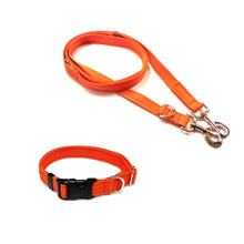 Load image into Gallery viewer, Dog Collar And Police Style Dog Lead Set 25mm Cushion Webbing Medium Collar In Various Lengths And Matching Colours