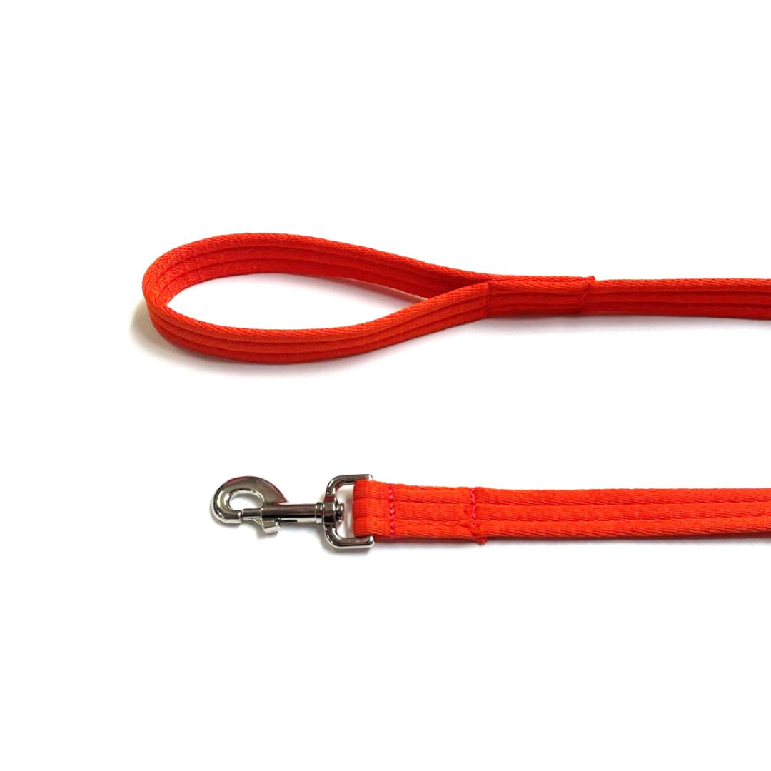 Dog Lead Walking Leash Short Training Lead 45" And 76" Long 20mm 25mm Soft Air Webbing In Various Colours