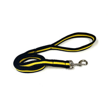 Load image into Gallery viewer, Dog Lead Walking Leash Short Training Lead 45&quot; And 76&quot; Long 20mm 25mm Soft Air Webbing In Various Colours