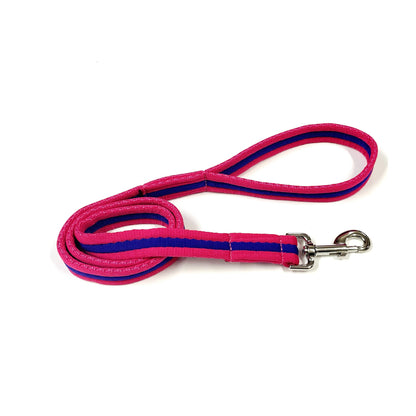 Dog Lead Walking Leash Short Training Lead 45" And 76" Long 20mm 25mm Soft Air Webbing In Various Colours