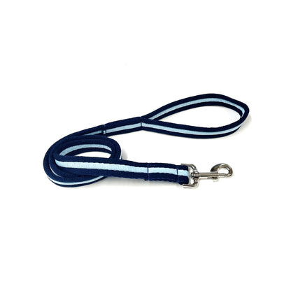 Dog Lead Walking Leash Short Training Lead 45" And 76" Long 20mm 25mm Soft Air Webbing In Various Colours