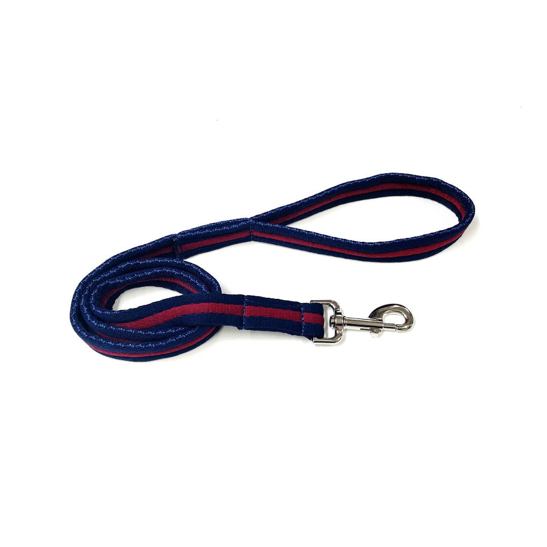 Dog Lead Walking Leash Short Training Lead 45" And 76" Long 20mm 25mm Soft Air Webbing In Various Colours