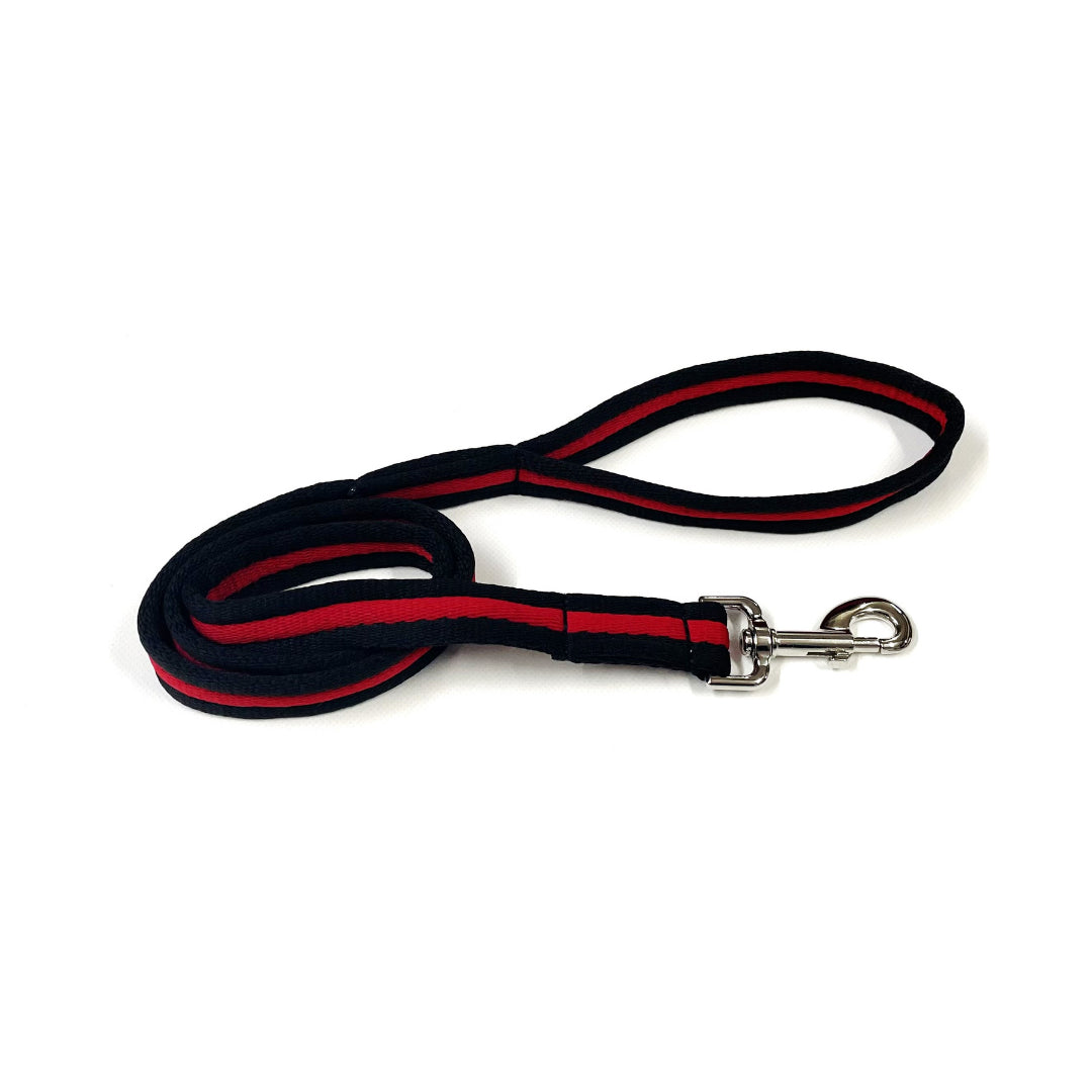 Dog Lead Walking Leash Short Training Lead 45" And 76" Long 20mm 25mm Soft Air Webbing In Various Colours