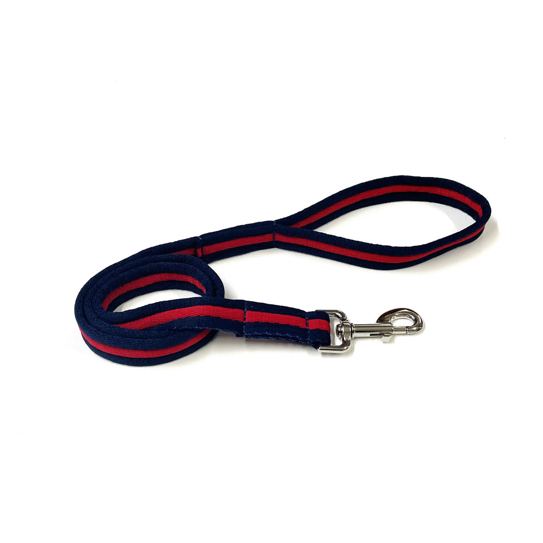 Dog Lead Walking Leash Short Training Lead 45" And 76" Long 20mm 25mm Soft Air Webbing In Various Colours
