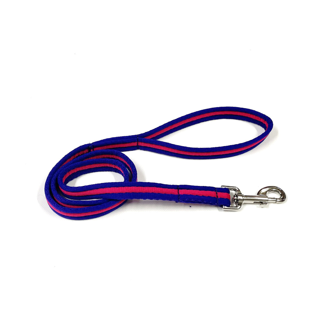 Dog Lead Walking Leash Short Training Lead 45" And 76" Long 20mm 25mm Soft Air Webbing In Various Colours