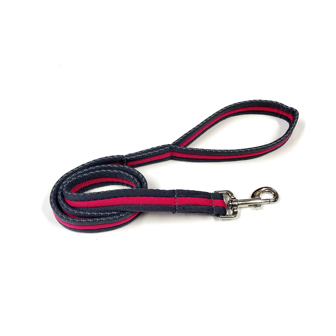 Dog Lead Walking Leash Short Training Lead 45" And 76" Long 20mm 25mm Soft Air Webbing In Various Colours