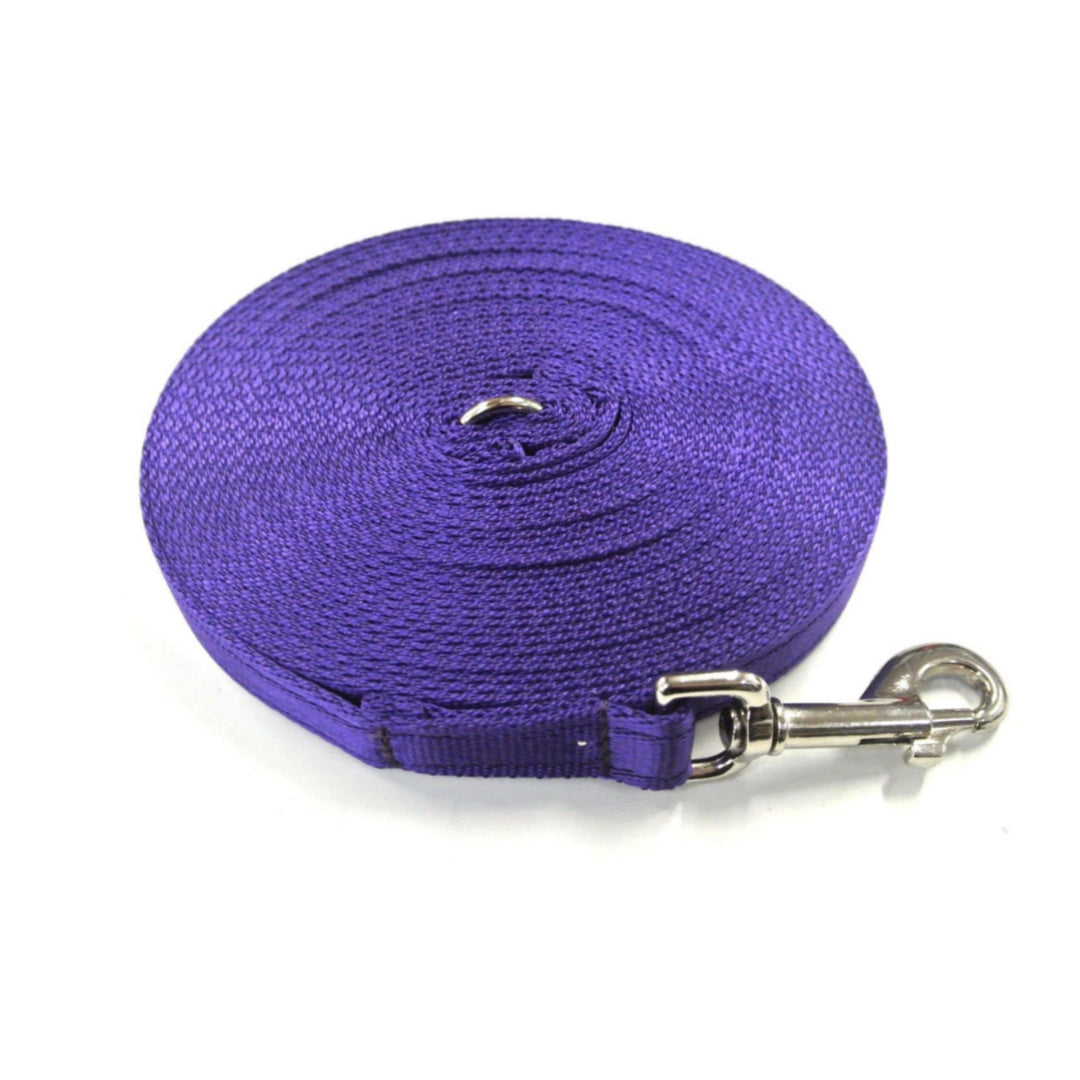 5ft - 50ft Dog Training Lead Obedience Recall Leash Long Dog Lead 25mm Cushion Webbing