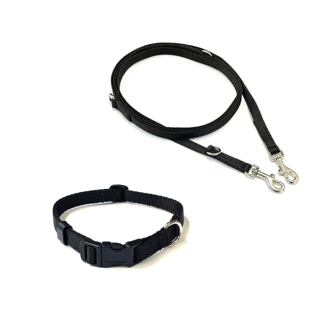Dog Collar And Police Style Dog Lead Set 13mm Webbing Small Collar In Various Lengths And Matching Colours