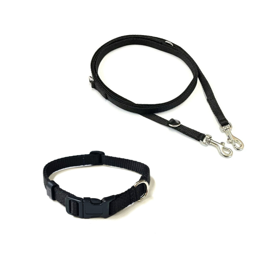 Dog Collar And Police Style Dog Lead Set 13mm Webbing Small Collar In Various Lengths And Matching Colours