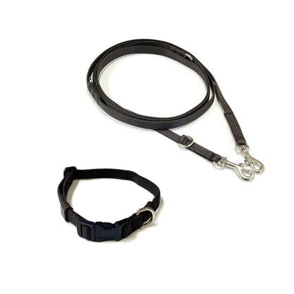 Dog Collar And Police Style Dog Lead Set 13mm Webbing Small Collar In Various Lengths And Matching Colours