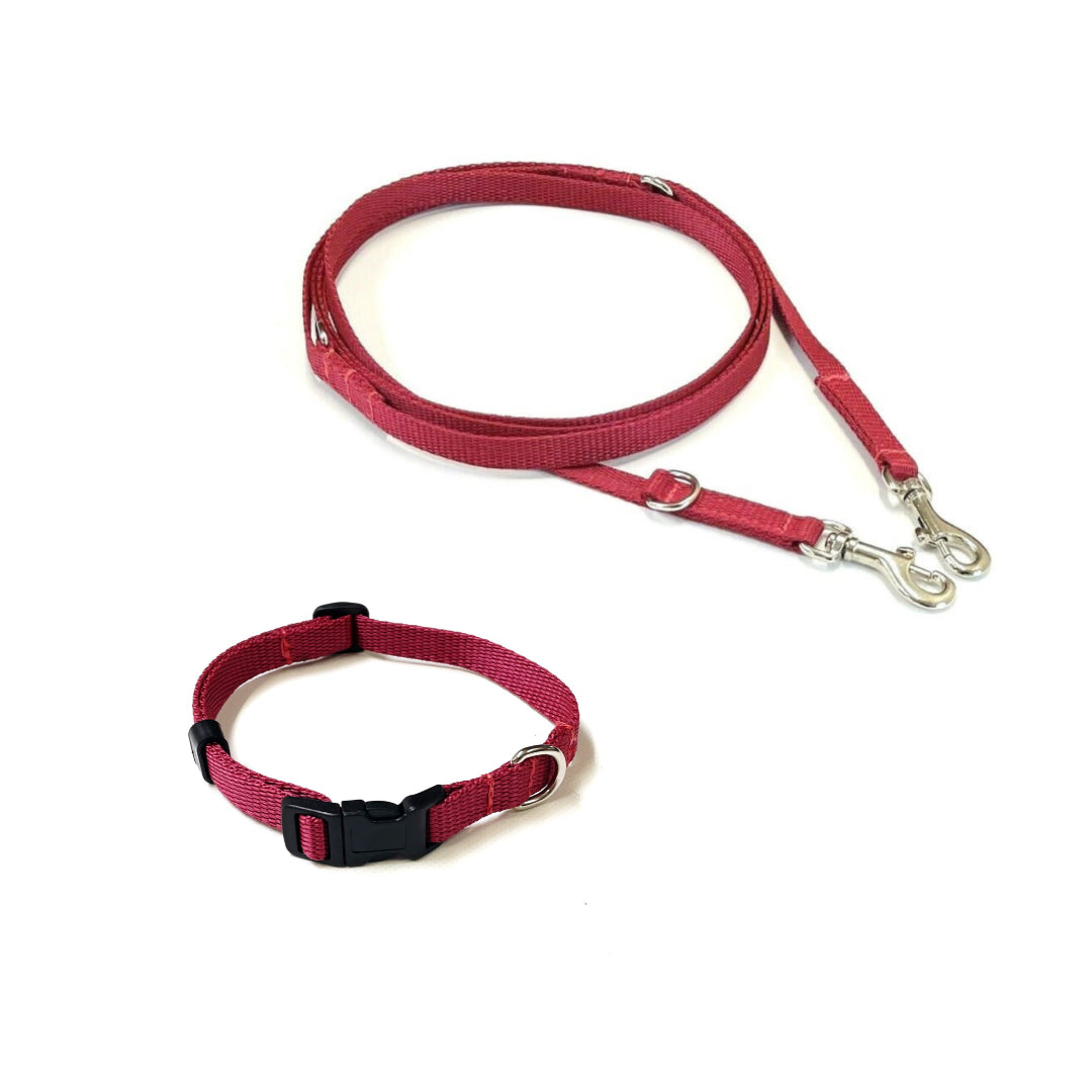 Dog Collar And Police Style Dog Lead Set 13mm Webbing Small Collar In Various Lengths And Matching Colours