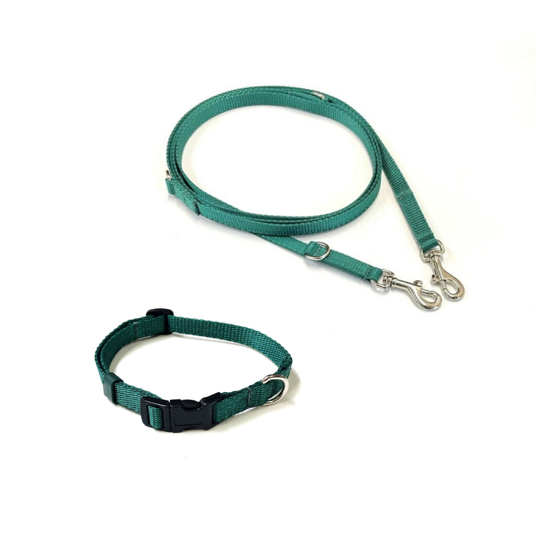 Dog Collar And Police Style Dog Lead Set 13mm Webbing Small Collar In Various Lengths And Matching Colours