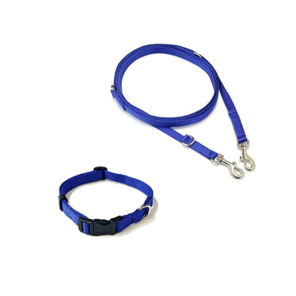 Dog Collar And Police Style Dog Lead Set 13mm Webbing Small Collar In Various Lengths And Matching Colours