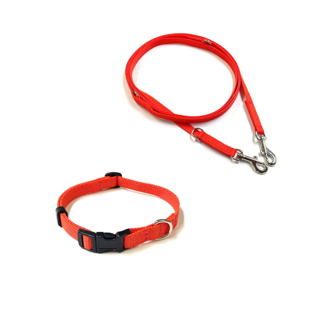 Dog Collar And Police Style Dog Lead Set 13mm Webbing Small Collar In Various Lengths And Matching Colours