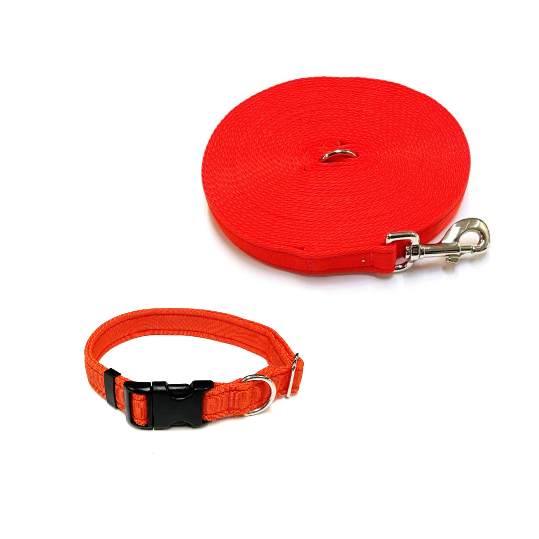 Dog Collar And Lead Set 25mm Cushion Webbing Small Collar In Various Lengths And Matching Colours