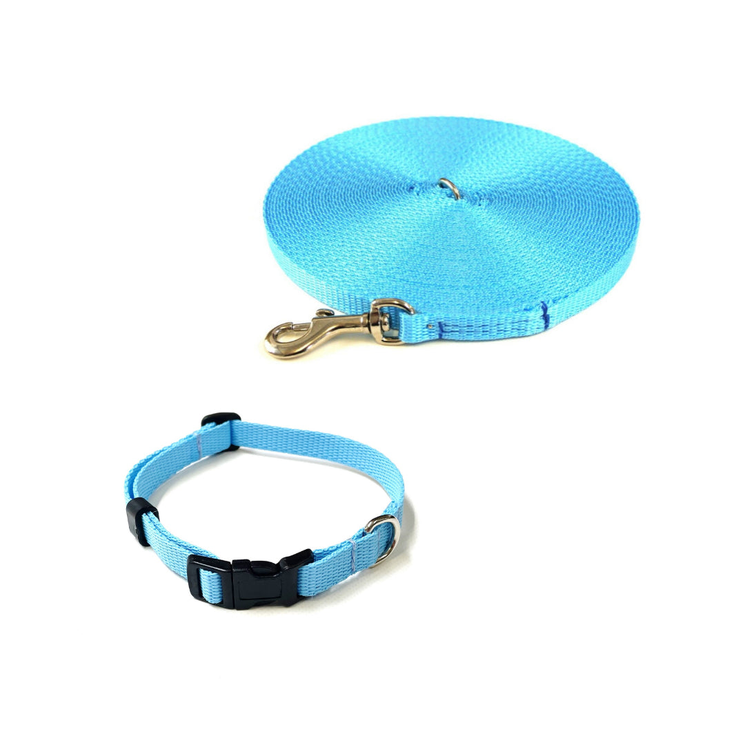 Dog Collar And Lead Set 13mm Webbing X - Small Collar In Various Lengths And Matching Colours