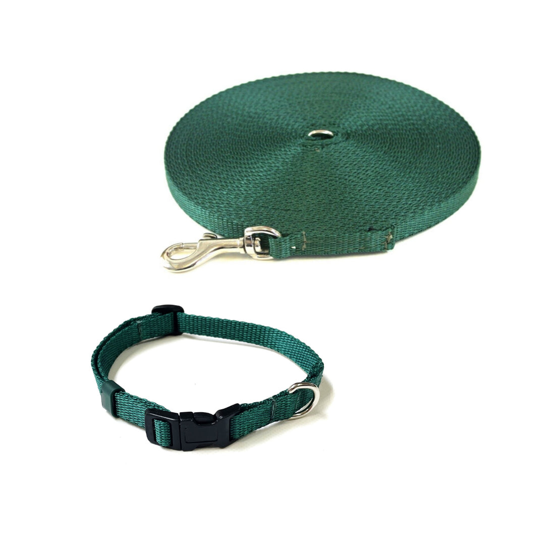 Dog Collar And Lead Set 13mm Webbing X - Small Collar In Various Lengths And Matching Colours