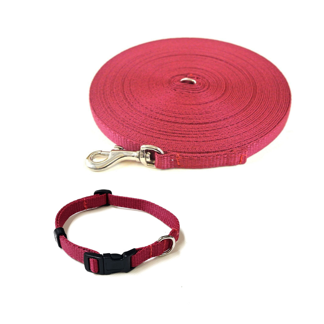 Dog Collar And Lead Set 13mm Webbing X - Small Collar In Various Lengths And Matching Colours
