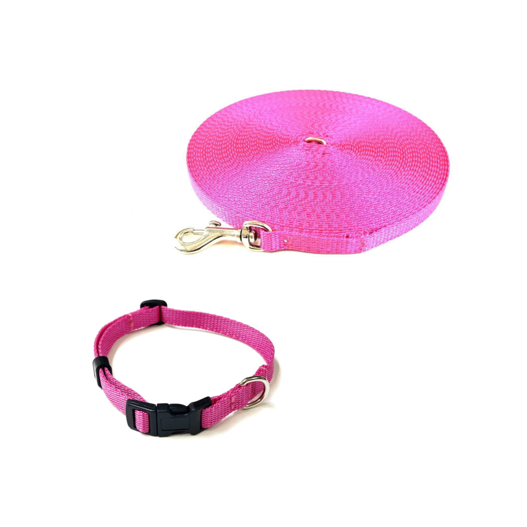 Dog Collar And Lead Set 13mm Webbing X - Small Collar In Various Lengths And Matching Colours