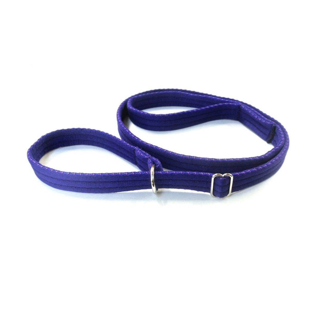 Dog Slip Leads Training Obedience Walking Leash 60"/5ft Long 20mm 25mm Air Webbing 24 Colours